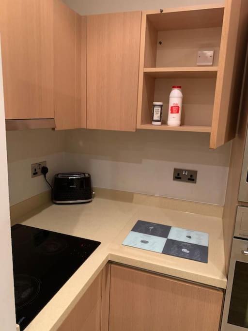 Stunning 2 Bed Flat! Centrally Located In London, Uk! Екстериор снимка